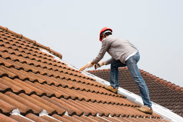 Best Roof Ventilation Installation  in Moss Point, MS