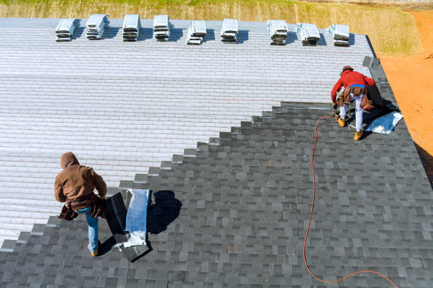 Best Solar Panel Roofing Installation  in Moss Point, MS